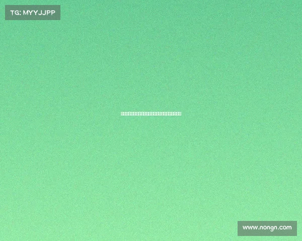 法甲新赛季首战对决：豪门争锋，揭幕战激战一触即发